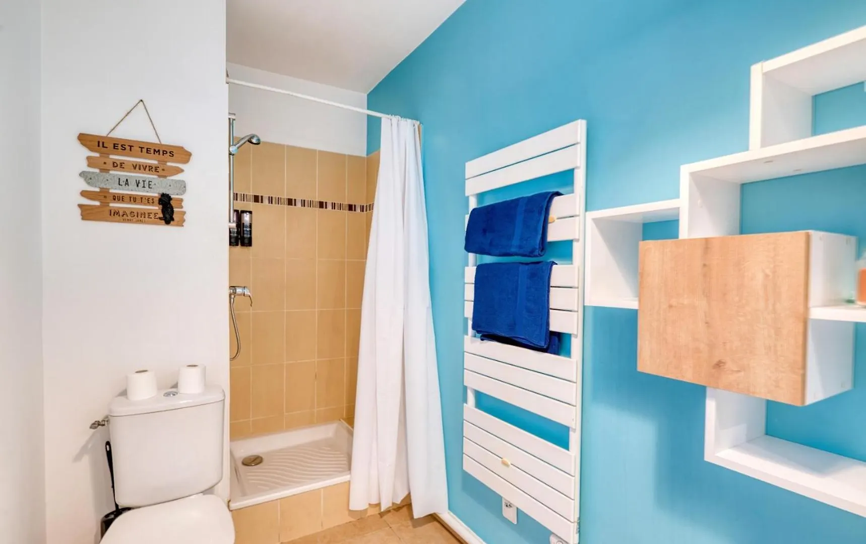 Havre De Paix En Plein Centre Apartment Vaulx-en-Velin 0*,